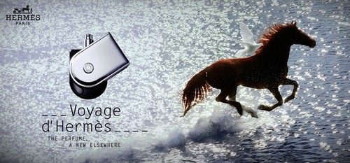 VOYAGE D`HERMES               